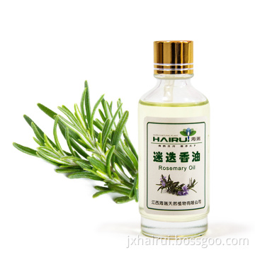 Aromatic Plant Rosemary Oil for perfume beauty